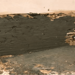 Applying Sika damp-proofing following racking out the walls and allowing them 2-3 weeks to dry