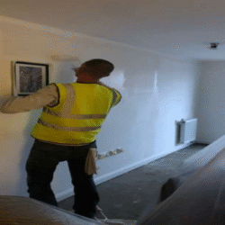 franklin-14 franklin-14