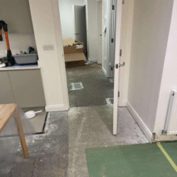 franklin-17 franklin-17