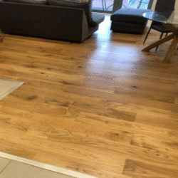 franklin-19 franklin-19