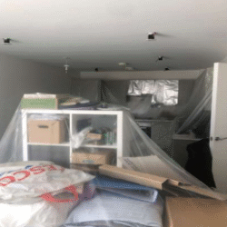 franklin-2 franklin-2