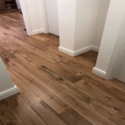 franklin-20 franklin-20