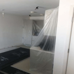 franklin-4 franklin-4