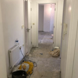 franklin-7 franklin-7