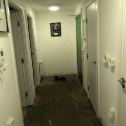 franklin-8 franklin-8