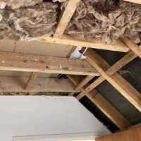 Replacing roof insulation