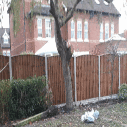 Lartonwood, Newton, External Refurbishment3 Lartonwood, Newton, External Refurbishment3