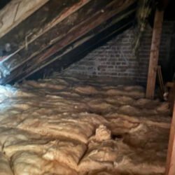 Ceiling_Insulation_11_14