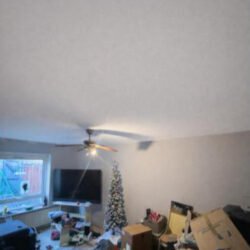 Ceiling_Insulation_19_8