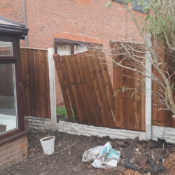 ChatGPT Image 9 груд. 2025 р., 15_48_21 ChatGPT Image 9 груд. 2025 р., 15_48_21