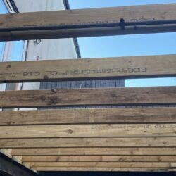 WhatsApp Image 2025-11-20 at 14.58.42_cab7e291 in-progress