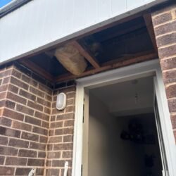 WhatsApp Image 2025-12-02 at 10.19.49_18db5282 WhatsApp Image 2025-12-02 at 10.19.49_18db5282